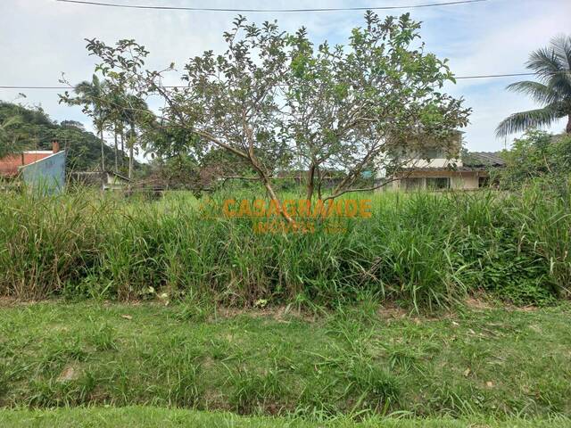 #10703 - Área para Venda em Caraguatatuba - SP - 3