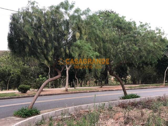 #11044 - Área para Venda em São José dos Campos - SP - 3