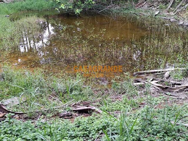 #11733 - Sítio para Venda em São José dos Campos - SP - 2