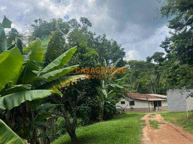 Haras para Venda em Caçapava - 4