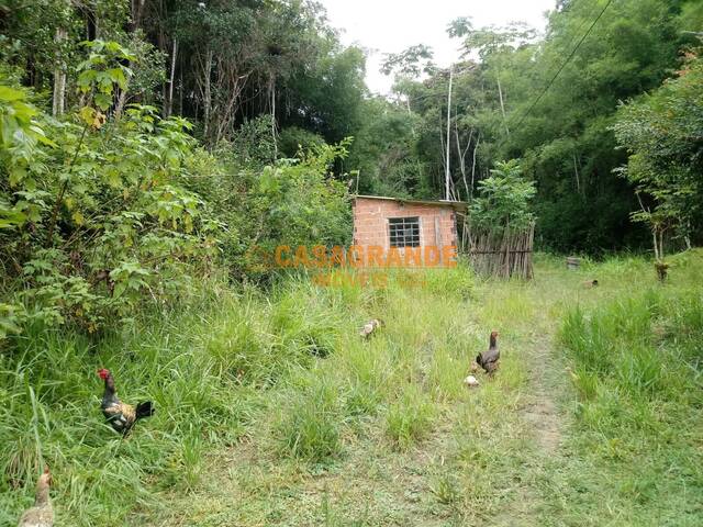 Chácara para Venda em Natividade da Serra - 5