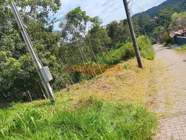 #9971 - Área para Venda em Santo Antônio do Pinhal - SP - 1