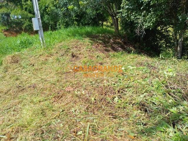 Área para Venda em Santo Antônio do Pinhal - 4