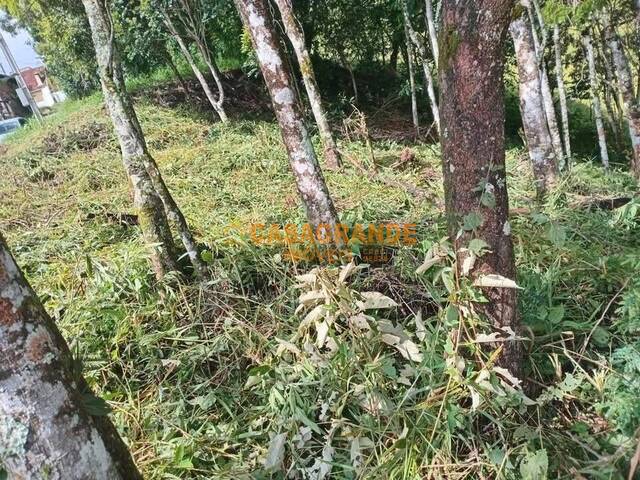 #9971 - Área para Venda em Santo Antônio do Pinhal - SP - 3