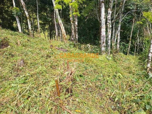 Área para Venda em Santo Antônio do Pinhal - 5