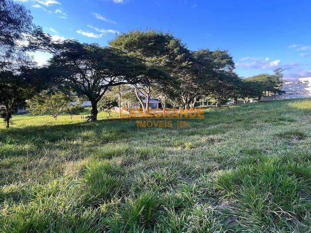 #12524 - Área para Venda em Jambeiro - SP - 3