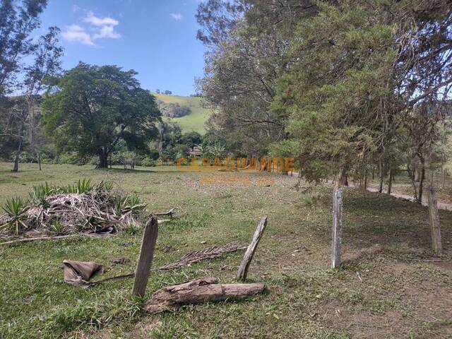 #12787 - Área para Venda em Sapucaí-Mirim - MG - 2