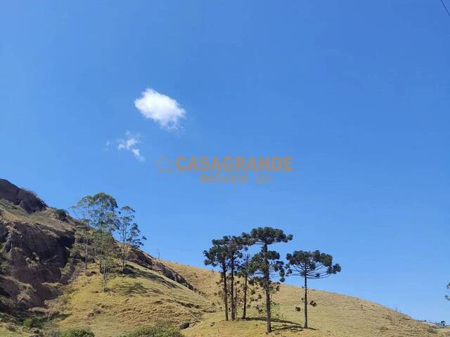 Área para Venda em São José dos Campos - 5