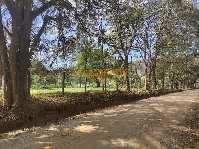#12787 - Área para Venda em Sapucaí-Mirim - MG - 3