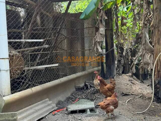 #13616 - Chácara para Venda em São José dos Campos - SP - 3