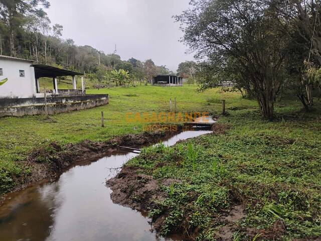 #14464 - Chácara para Venda em Salesópolis - SP - 3