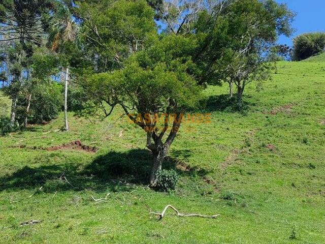 #14522 - Sítio para Venda em Cambuí - MG - 3
