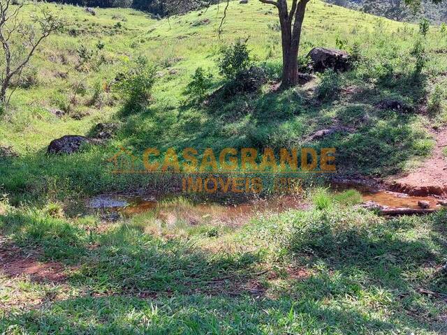 Sítio para Venda em Cambuí - 4