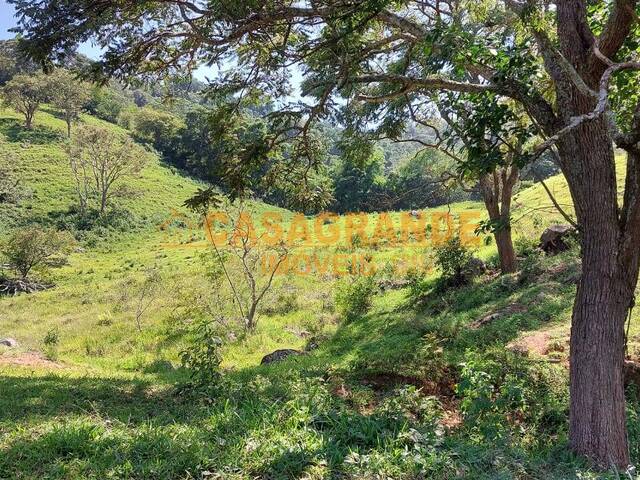 #14522 - Sítio para Venda em Cambuí - MG - 2